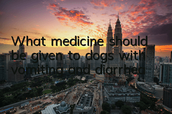 TWhat medicine should be given to dogs with vomiting and diarrhea?
