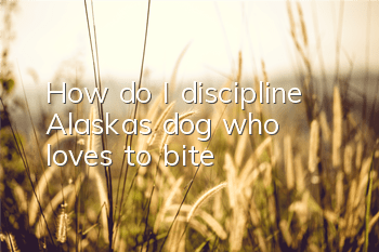 THow do I discipline Alaska’s dog who loves to bite?