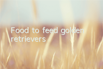 TFood to feed golden retrievers