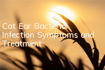 TCat Ear Bacterial Infection Symptoms and Treatment