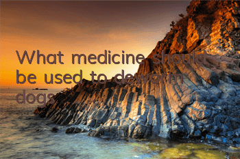 What medicine should be used to deworm dogs?