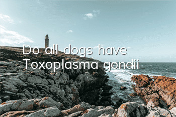 TDo all dogs have Toxoplasma gondii?
