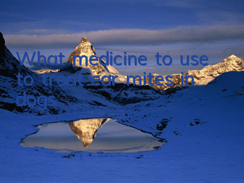 What medicine to use to treat ear mites in dogs?