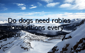 TDo dogs need rabies vaccinations every year?