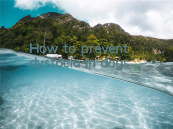 How to prevent dystocia in dogs
