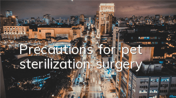 TPrecautions for pet sterilization surgery