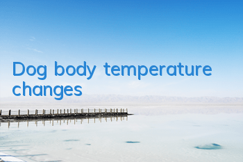 TDog body temperature changes