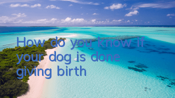 How do you know if your dog is done giving birth?