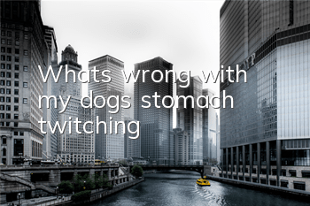 TWhat's wrong with my dog's stomach twitching?