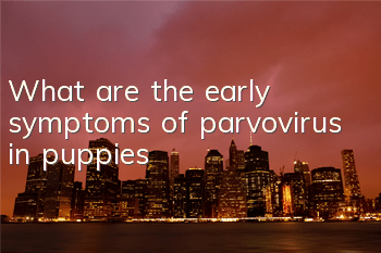 TWhat are the early symptoms of parvovirus in puppies?