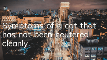 Symptoms of a cat that has not been neutered cleanly