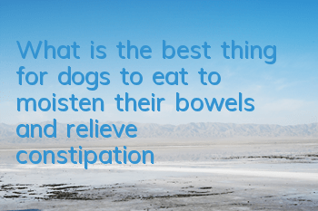 TWhat is the best thing for dogs to eat to moisten their bowels and relieve constipation?
