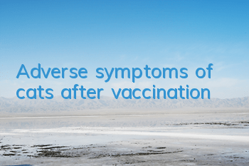 TAdverse symptoms of cats after vaccination