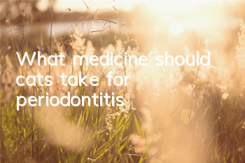 What medicine should cats take for periodontitis?