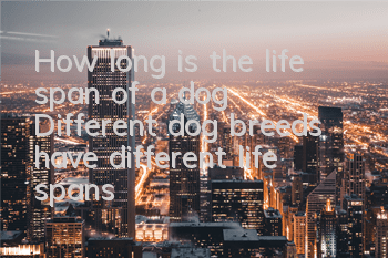 THow long is the life span of a dog? Different dog breeds have different life spans