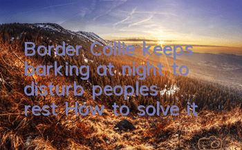 Border Collie keeps barking at night to disturb people's rest? How to solve it?