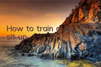 THow to train a dog to sit up
