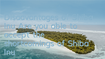 Disadvantages of Shiba Inu Are you able to accept the shortcomings of Shiba Inu?