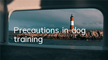 TPrecautions in dog training