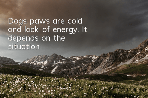 Dog’s paws are cold and lack of energy. It depends on the situation!
