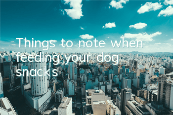 Things to note when feeding your dog snacks