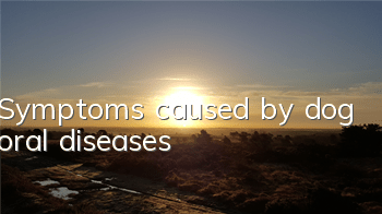 TSymptoms caused by dog ​​oral diseases