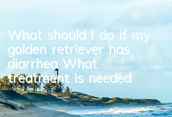 TWhat should I do if my golden retriever has diarrhea? What treatment is needed?