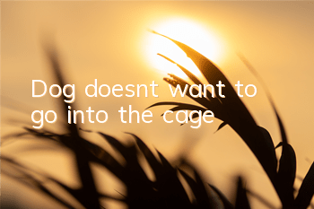TDog doesn’t want to go into the cage