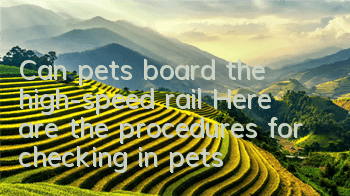 Can pets board the high-speed rail? Here are the procedures for checking in pets!