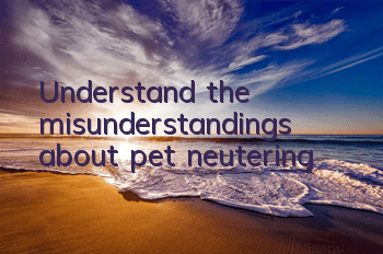 TUnderstand the misunderstandings about pet neutering