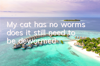 TMy cat has no worms, does it still need to be dewormed?