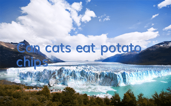 Can cats eat potato chips?