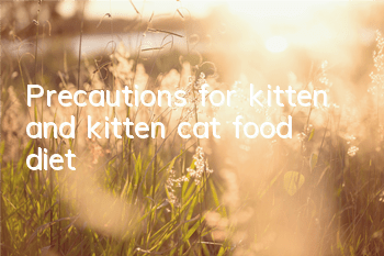 TPrecautions for kitten and kitten cat food diet