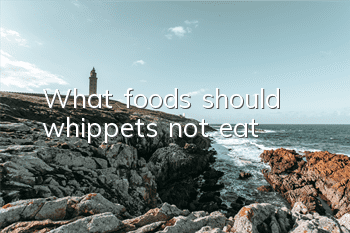 What foods should whippets not eat?