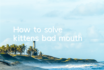 THow to solve kitten’s bad mouth?