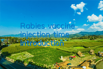 TRabies vaccine injection time introduction