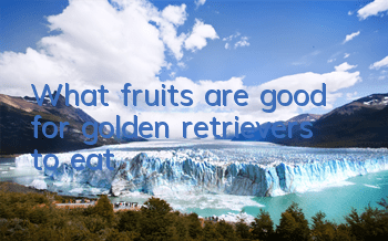 TWhat fruits are good for golden retrievers to eat?
