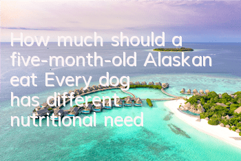 THow much should a five-month-old Alaskan eat? Every dog ​​has different nutritional needs!
