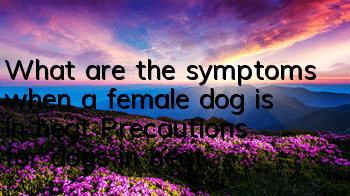 TWhat are the symptoms when a female dog is in heat? Precautions for dogs in heat