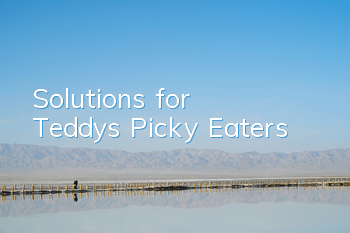 Solutions for Teddy’s Picky Eaters