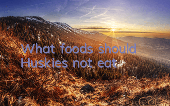 What foods should Huskies not eat?