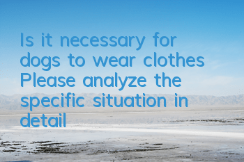 TIs it necessary for dogs to wear clothes? Please analyze the specific situation in detail!