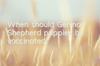When should German Shepherd puppies be vaccinated?