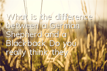 TWhat is the difference between a German Shepherd and a Blackback? Do you really think they are the same kind of dog?