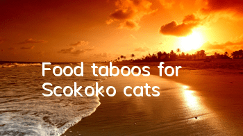 TFood taboos for Scokoko cats