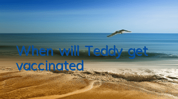 TWhen will Teddy get vaccinated?