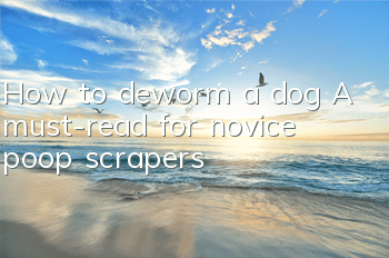 THow to deworm a dog? A must-read for novice poop scrapers!