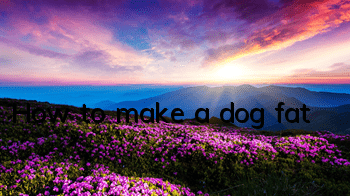 THow to make a dog fat