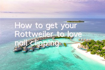 THow to get your Rottweiler to love nail clipping