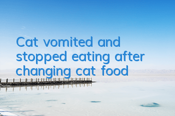TCat vomited and stopped eating after changing cat food